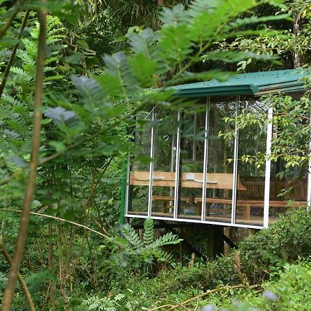 Sinharaja Kurulu Ella Eco Resort Deniyaya Zewnętrze zdjęcie
