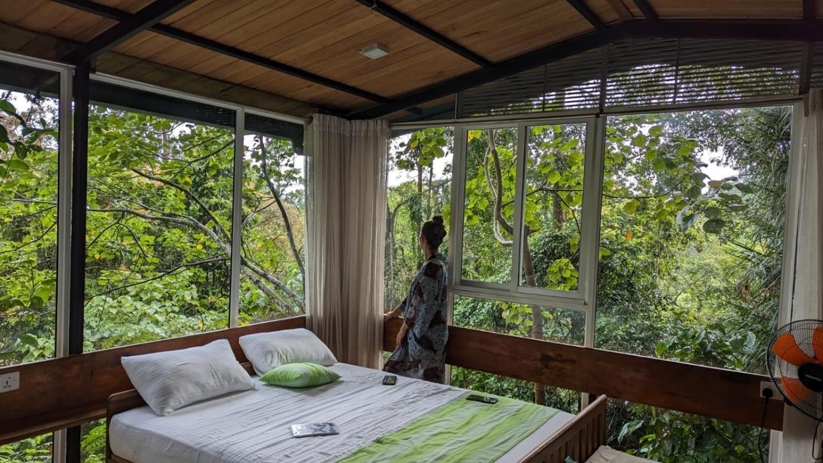 Sinharaja Kurulu Ella Eco Resort Deniyaya Zewnętrze zdjęcie