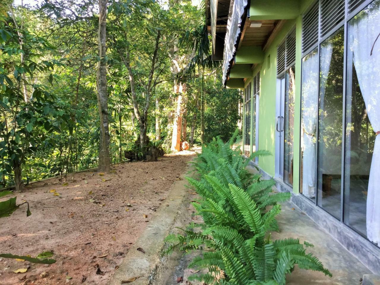 Sinharaja Kurulu Ella Eco Resort Deniyaya Zewnętrze zdjęcie